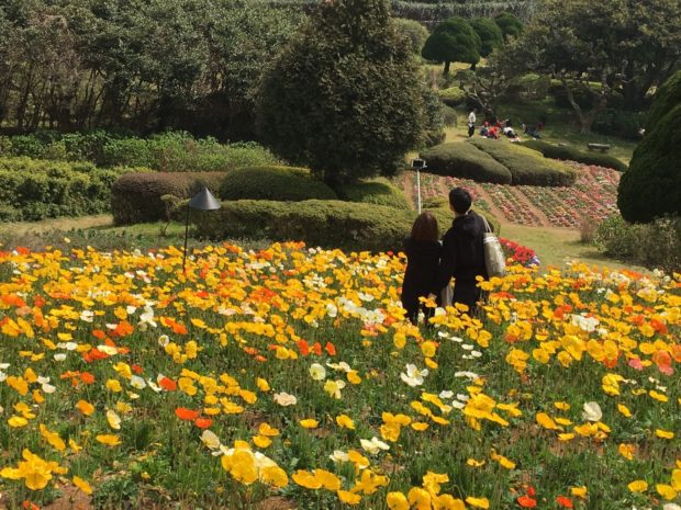 のこのしまアイランドパークカップル