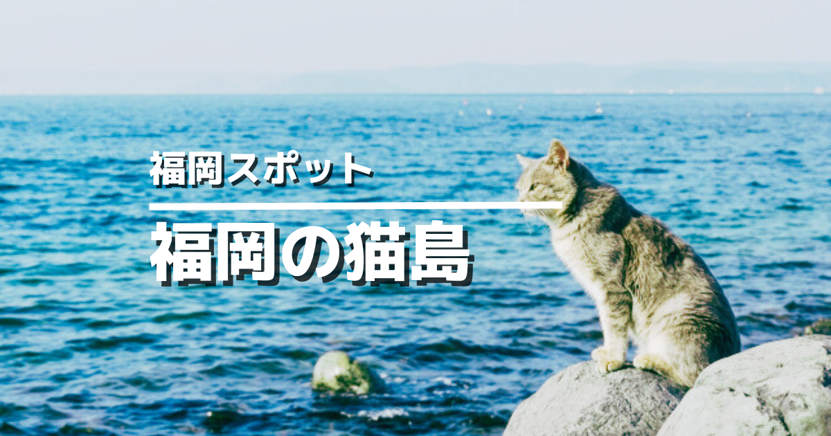 福岡猫の島アイキャッチ画像