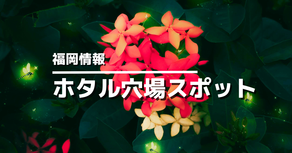 福岡ホタル穴場スポット