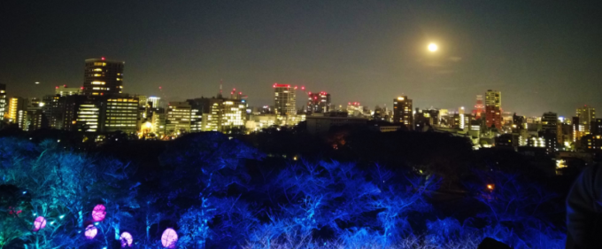 福岡城天守台跡からの夜景