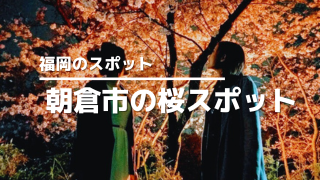朝倉市の桜アイキャッチ画像