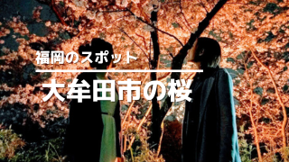 大牟田市の桜アイキャッチ画像