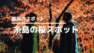 糸島の桜アイキャッチ画像