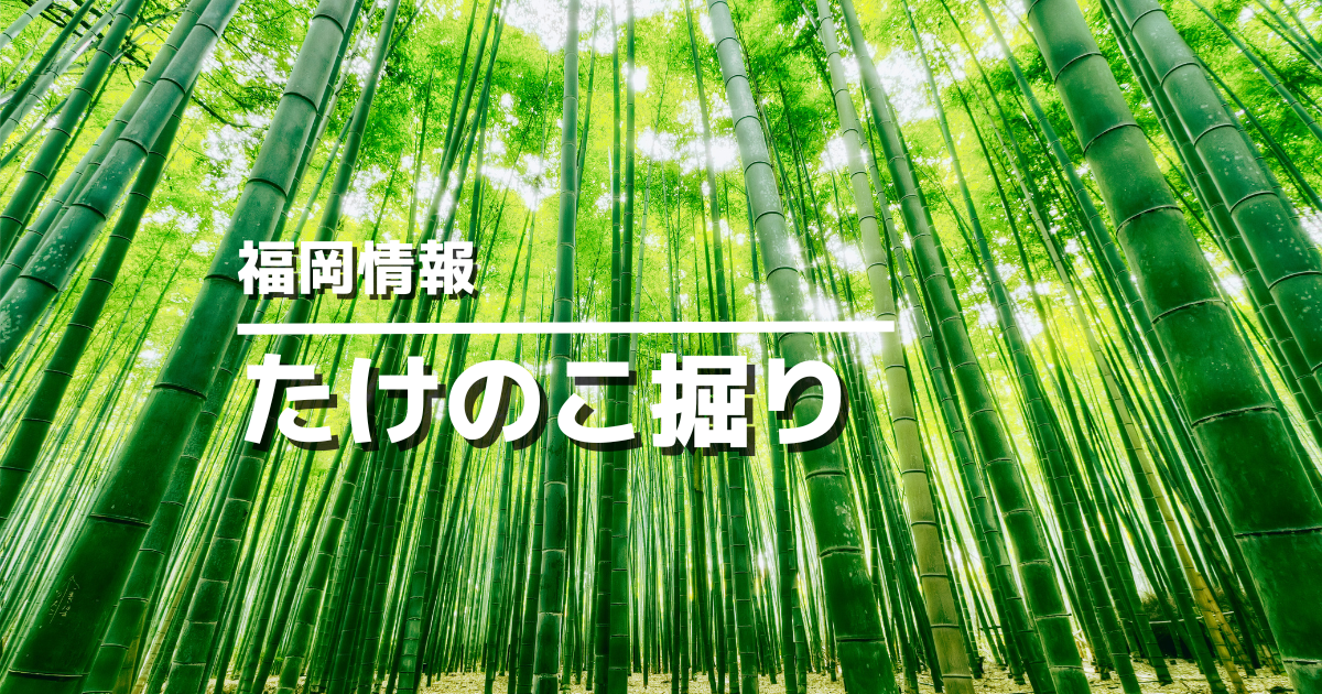 福岡のたけのこ掘り体験スポット
