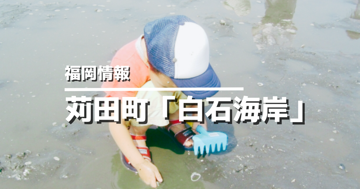 苅田町「白石海岸」潮干狩り