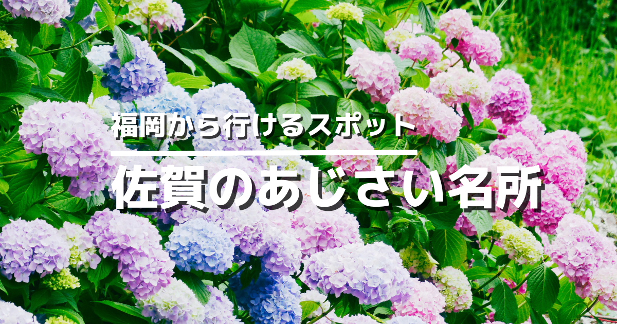 佐賀のあじさい名所