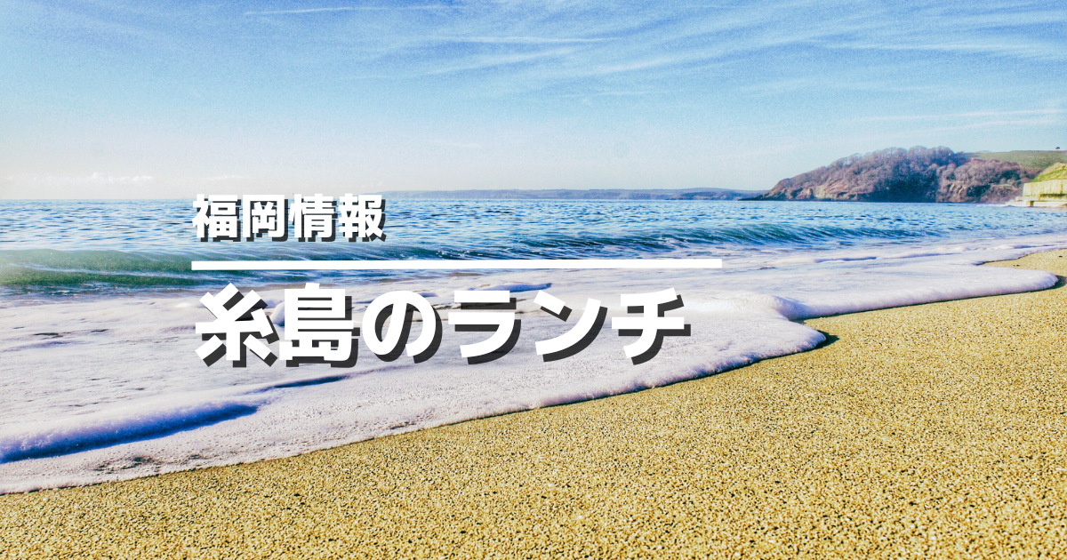 糸島ランチ完全ガイド